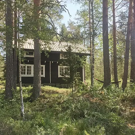 Historic Forest By Steinsvannet *