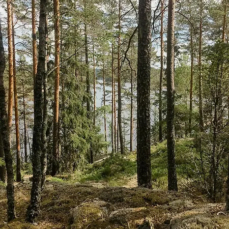 Historic Forest By Steinsvannet Holiday home Lundeby