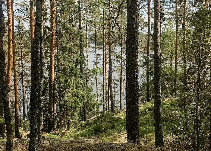 Historic Forest By Steinsvannet * Lundeby